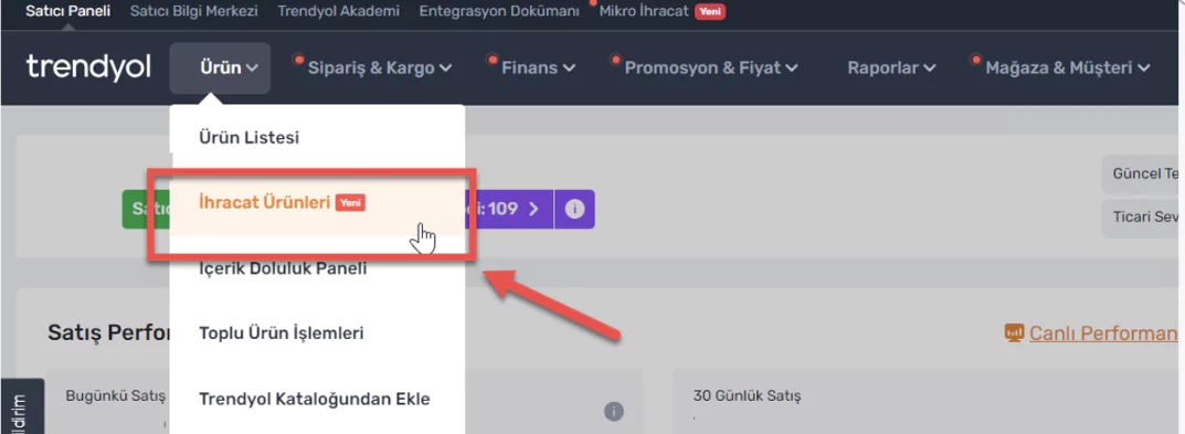 Mikro İhracat Şartları
